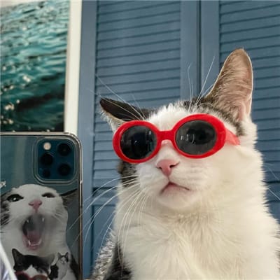 Robina Gokongwei's avatar